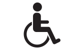 Icon Disabled